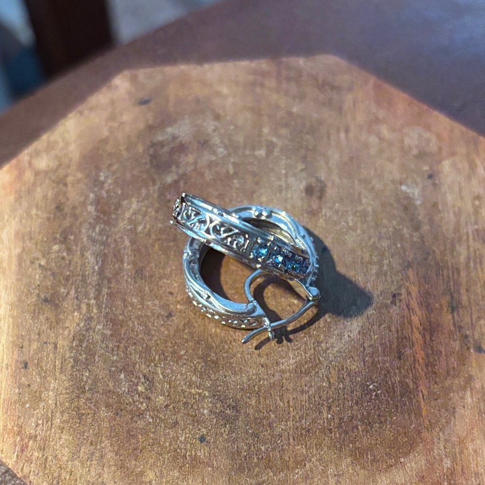 Elegant Silver Hoop Earrings